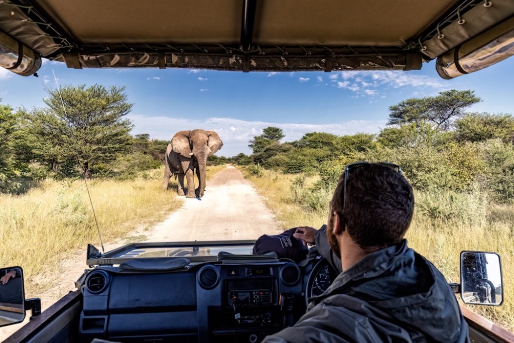 Onguma Sundowner Drives