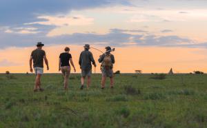 Read more about the article Walking Safaris in Namibia: The Onguma Trails Camp Experience