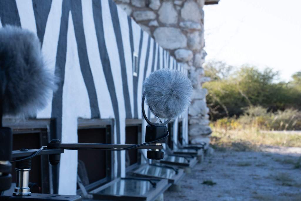 Microphones outside Hide