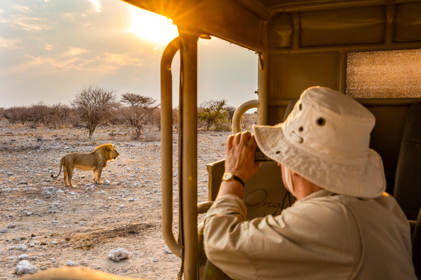 Etosha national park namibia