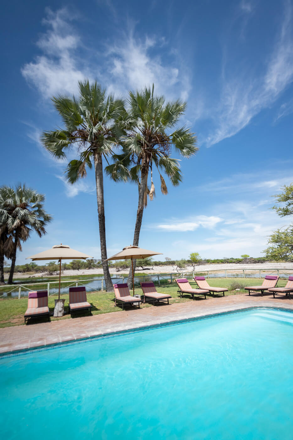 Onguma Bush Camp Namibia